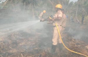 ಬೆಂಕಿಗೆ ಭತ್ತದ ಹುಲ್ಲು, ತೆಂಗಿನ ಸಸಿಗಳು ಆಹುತಿ