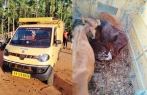 ಅಕ್ರಮ ಗೋಸಾಗಣೆ: ವಾಹನ ಸಮೇತ ವ್ಯಕ್ತಿಯನ್ನು ಹಿಡಿದು ಪೊಲೀಸರಿಗೊಪ್ಪಿಸಿದ ಸ್ಥಳೀಯರು