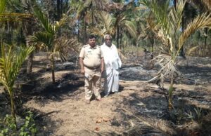 ಆಕಸ್ಮಿಕ ಬೆಂಕಿ ತಗುಲಿ ವಿವಿಧ ತಳಿಯ ಮರಗಳು ಬೆಂಕಿಗಾಹುತಿ