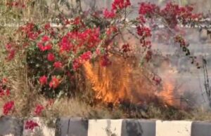 ಹೂವಿನ ಗಿಡಗಳಿಗೆ ಬೆಂಕಿ: ಮುಂಜಾಗೃತಾ ಕ್ರಮವಾಗಿ ವಾಹನ ಸಂಚಾರ ನಿಲ್ಲಿಸಿದ ಪೊಲೀಸರು