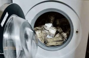 ಫೆಮಾ ಉಲ್ಲಂಘನೆ: ಲಾಜಿಸ್ಟಿಕ್ಸ್ ಕಂಪನಿಗಳ ಮೇಲೆ ಇಡಿ ದಾಳಿ- ವಾಷಿಂಗ್ ಮೆಷಿನ್ ನಲ್ಲಿ 2.54 ಕೋಟಿ ರೂ. ನಗದು ಪತ್ತೆ