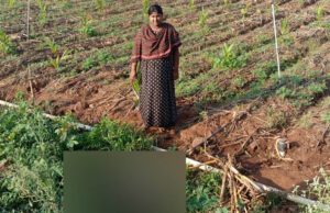 ಅಡಗೂರಿನಲ್ಲಿ ಚಿರತೆ ದಾಳಿಗೆ ಕರು ಬಲಿ