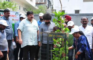ಮಳೆ ನೀರು ಗಿಡ ಮರಗಳ ಬೇರಿಗೆ ಹರಿಯಲು ಅನುವು ಮಾಡಿಕೊಡುವ “ಫ್ರೀ ದ ಟ್ರೀ” ಅಭಿಯಾನಕ್ಕೆ ಚಾಲನೆ