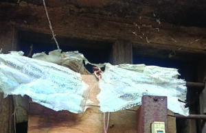 ಮದ್ದೂರು | ಸೆಸ್ಕ್ ಸಿಬ್ಬಂದಿಯಿಂದ ಮೀಟರ್ ತೆರವು: ಆಕ್ರೋಶ