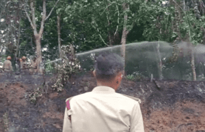 ಮಂಗಳೂರು: ರಬ್ಬರ್ ತೋಟದಲ್ಲಿ ಆಕಸ್ಮಿಕ ಅಗ್ನಿ ಅವಘಡ