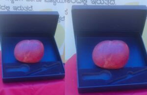 ಧಾರವಾಡ ಮಾವು ಮೇಳದಲ್ಲಿ ಗಮನ ಸೆಳೆದ 2.5 ಲಕ್ಷ ರೂ.ಬೆಲೆಯ ಮಿಯಾ ಜಾಕಿ ಮಾವು