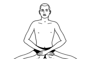 ಗೊರಕ್ಷಾಸನ