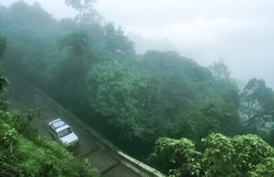 ಆಗುಂಬೆಯ ಮಳೆ ಕಾಡುಗಳು