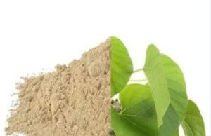 ಆಮ್ಲಪಿತ್ತ