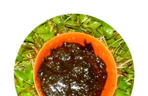 ಶ್ವಿತ್ರ ಶ್ವೇತಕುಷ್ಠ