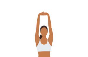 ಪರ್ವತಾಸನ