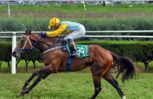 ಬೆಂಗಳೂರು ಟರ್ಫ್ ಕ್ಲಬ್: ಕುದುರೆ ರೇಸ್ ಆಯೋಜಿಸಲು ಅನುಮತಿ ನಿರಾಕರಿಸಿದ ಹೈಕೋರ್ಟ್