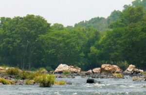 ಪ್ರವಾಸಿ ತಾಣ ಮುತ್ತತ್ತಿ ಸುತ್ತಮುತ್ತ ನಿಷೇಧಾಜ್ಞೆ ಜಾರಿ