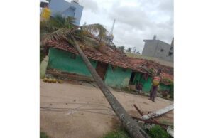 ಭಾರಿ ಮಳೆಗೆ ಮನೆ ಮೇಲೆ ಉರುಳಿಬಿದ್ದ ತೆಂಗಿನ ಮರ: ತಪ್ಪಿದ ಭಾರೀ ಅನಾಹುತ