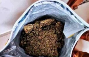 ಬೆಂಗಳೂರಿನಲ್ಲಿ 5 ಕೋಟಿಗೂ ಅಧಿಕ ಮೌಲ್ಯದ ಗಂಧ ತುಂಡುಗಳು ಜಪ್ತಿ