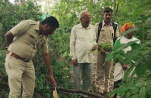 ಕುಷ್ಟಗಿ: ಕಳ್ಳರ ಅಟ್ಟಹಾಸಕ್ಕೆ 13 ಶ್ರೀಗಂಧದ ಮರ ಬಲಿ