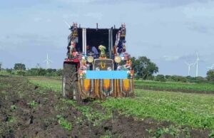 ಕೊತ್ತಂಬರಿ ಸೊಪ್ಪಿನ ಬೆಲೆ ಕುಸಿತ: ಟ್ರ್ಯಾಕ್ಟರ್ ಮೂಲಕ ಬೆಳೆ ನಾಶ ಮಾಡುತ್ತಿರುವ ರೈತರು