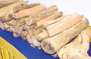 ಬೆಡ್ ಶೀಟ್ ಮಾರಾಟಕ್ಕೆಂದು ಬಂದು ಶ್ರೀಗಂಧದ ಮರ ಕದ್ದವರ ಬಂಧನ