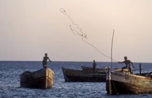 ತಮಿಳುನಾಡಿನ 8 ಮೀನುಗಾರರನ್ನು ಬಂಧಿಸಿದ ಶ್ರೀಲಂಕಾ ನೌಕಾಪಡೆ