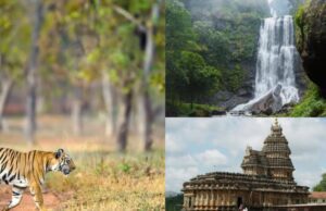 ಚಿಕ್ಕಮಗಳೂರು ಜಿಲ್ಲೆಯ ಏಳು ಪ್ರಸಿದ್ಧ ತಾಣಗಳಿವು