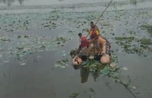 ಮಂಡ್ಯ: ಕಾಲು ಜಾರಿ ಕೆರೆಗೆ ಬಿದ್ದು ರೈತ ಸಾವು