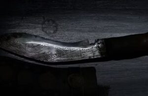 ಬಿ.ಎಸ್.ಎಫ್ ಯೋಧನ ಮೇಲೆ ಡ್ಯಾಗರ್ನಿಂದ ದಾಳಿ ನಡೆಸಿ ಚಿನ್ನ ಕಳ್ಳಸಾಗಾಣೆದಾರ ಪರಾರಿ