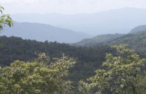 ಅಕ್ರಮವಾಗಿ ಬೆಟ್ಟ ಕಡಿದರೆ ₹1 ಕೋಟಿವರೆಗೂ ದಂಡ: ಗೋವಾ ಸಚಿವ ವಿಶ್ವಜಿತ್ ರಾಣೆ