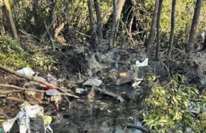 ಥೈಲೆಂಡ್ ನಲ್ಲಿ ವಿಮಾನ ಪತನ: 9 ಮಂದಿ ಸಾವು