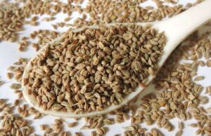 ದದ್ದು ರೋಗ