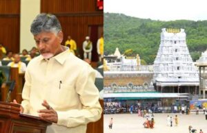 ತಿರುಪತಿ ಲಡ್ಡಿನಲ್ಲಿ ಪ್ರಾಣಿಗಳ ಕೊಬ್ಬು: ಚಂದ್ರಬಾಬು ನಾಯ್ಡು ಆರೋಪ