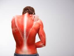 ಮೈಕೈ ನೋವು