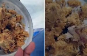 ತಿರುಪತಿ ಲಡ್ಡು ಪ್ರಸಾದದಲ್ಲಿ ತಂಬಾಕು ತುಂಡುಗಳು ಪತ್ತೆ: ಮಹಿಳೆ ಗಂಭೀರ ಆರೋಪ