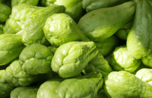 ಸೀಮೆ ಬದನೆಕಾಯಿ ಆರೋಗ್ಯಕಾರಿ ಉಪಯೋಗಗಳು!