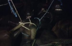 ಮಂಗಳೂರಿಗೆ ಗೋಸಾಗಾಟ: ಬಜರಂಗದಳ ಕಾರ್ಯಕರ್ತರಿಂದ ದಾಳಿ