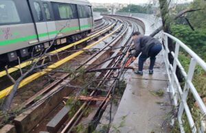 ಹಳಿ ಮೇಲೆ ಬಿದ್ದ ಮರ: ನಮ್ಮ ಮೆಟ್ರೋ ರೈಲು ಸಂಚಾರದಲ್ಲಿ ವ್ಯತ್ಯಯ