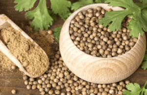 ಥೈರಾಯ್ಡ್ ಸಮಸ್ಯೆಯಿಂದ ಮುಕ್ತಿ ಹೊಂದಬೇಕಾದರೆ ಈ ಮನೆ ಮದ್ದು ಪ್ರಯತ್ನಿಸಿ