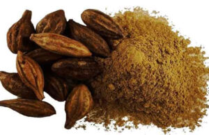 ಅಳಲೆಕಾಯಿ