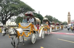 ಜಿಟಿ ಜಿಟಿ ತುಂತುರು ಮಳೆಯಲ್ಲೂ ಯಶಸ್ವಿಯಾಗಿ ನಡೆದ ಪಾರಂಪರಿಕ ಟಾಂಗಾ ಸವಾರಿ: 40 ಕ್ಕಿಂತ ಅಧಿಕ ಜೋಡಿಗಳು ಭಾಗಿ