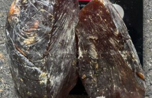 ಬೆಂಗಳೂರಿನಿಂದ ತಮಿಳುನಾಡಿಗೆ ತಿಮಿಂಗಿಲದ ವಾಂತಿ ಸಾಗಾಟ: ಇಬ್ಬರ ಬಂಧನ