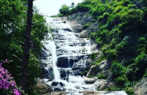 ಕೊಡೈಕೆನಾಲ್ ನಲ್ಲಿ ಭೇಟಿ ನೀಡಲೇಬೇಕಾದ 16 ಪ್ರವಾಸಿ ಆಕರ್ಷಣೆಗಳು