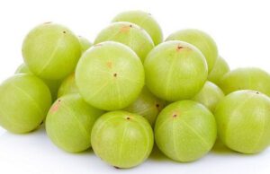 ಬೆಟ್ಟದ ನೆಲ್ಲಿಕಾಯಿ: ನೋವು ನಿವಾರಕ ಗುಣ