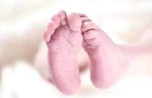 ರಾಮನಗರ: ಆಸ್ಪತ್ರೆಯ ಶೌಚಾಲಯದ ಗುಂಡಿಯಲ್ಲಿ ನವಜಾತ ಶಿಶುವಿನ ಶವ ಪತ್ತೆ