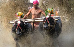 ಕರಾವಳಿಯ ಪ್ರತಿ ಕಂಬಳಕ್ಕೂ 5 ಲಕ್ಷ ರೂ. ನೀಡಲು ರಾಜ್ಯ ಸರ್ಕಾರ ಆದೇಶ