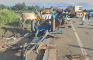 ಎತ್ತಿನ ಗಾಡಿಗಳಿಗೆ ಟಿಪ್ಪರ್ ಲಾರಿ ಡಿಕ್ಕಿ: ಚಾಲಕ, 4 ಎತ್ತುಗಳು ಸಾವು