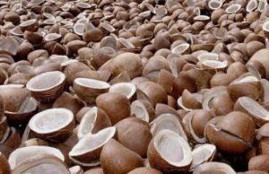 ಕೊಬ್ಬರಿಯ ಕನಿಷ್ಠ ಬೆಂಬಲ ಬೆಲೆ 422 ರೂ. ಹೆಚ್ಚಳ: ಕೇಂದ್ರ ಸರ್ಕಾರ