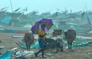 ಫೆಂಗಲ್ ಚಂಡಮಾರುತಕ್ಕೆ ತುತ್ತಾದ ತಮಿಳುನಾಡಿಗೆ ಕೇಂದ್ರದಿಂದ 944 ಕೋಟಿ ಪರಿಹಾರ