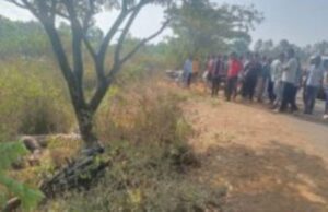 ನಿಯಂತ್ರಣ ತಪ್ಪಿ ಮರಕ್ಕೆ ಬೈಕ್ ಡಿಕ್ಕಿ: ಇಬ್ಬರು ಯುವಕರು ಸಾವು