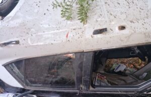 ವಿಜಯಪುರ: ಚಾಲಕನ ನಿಯಂತ್ರಣ ತಪ್ಪಿ ಕಾರು ಪಲ್ಟಿ, ಮೂವರು ಸಾವು