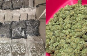 ಬೆಂಗಳೂರಿನ ಅಪಾರ್ಟ್ಮೆಂಟ್ನಲ್ಲಿ 3 ಕೋಟಿ ರೂ. ಮೌಲ್ಯದ ಗಾಂಜಾ ಪತ್ತೆ, ಇಬ್ಬರ ಬಂಧನ!