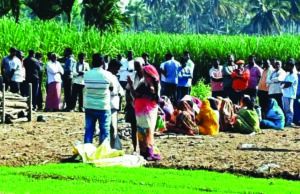 ಪಾಂಡವಪುರ | ವಿಶ್ವೇಶ್ವರಯ್ಯ ನಾಲೆಗೆ ಬಿದ್ದಿದ್ದ ಮಕ್ಕಳ ಶವ ಪತ್ತೆ: ಅಂತ್ಯಸಂಸ್ಕಾರ